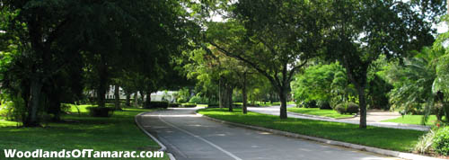 Mature trees lines the boulevards at Woodlands country club in Tamarac, FL.